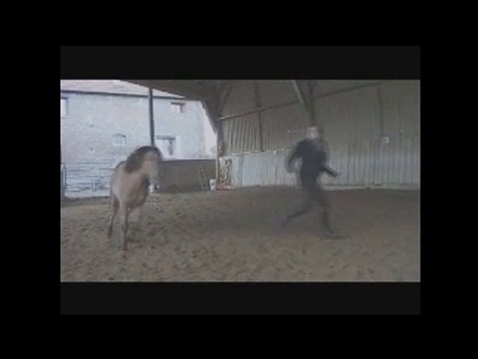 SUN - Séance Ethologie 2 janvier 2011