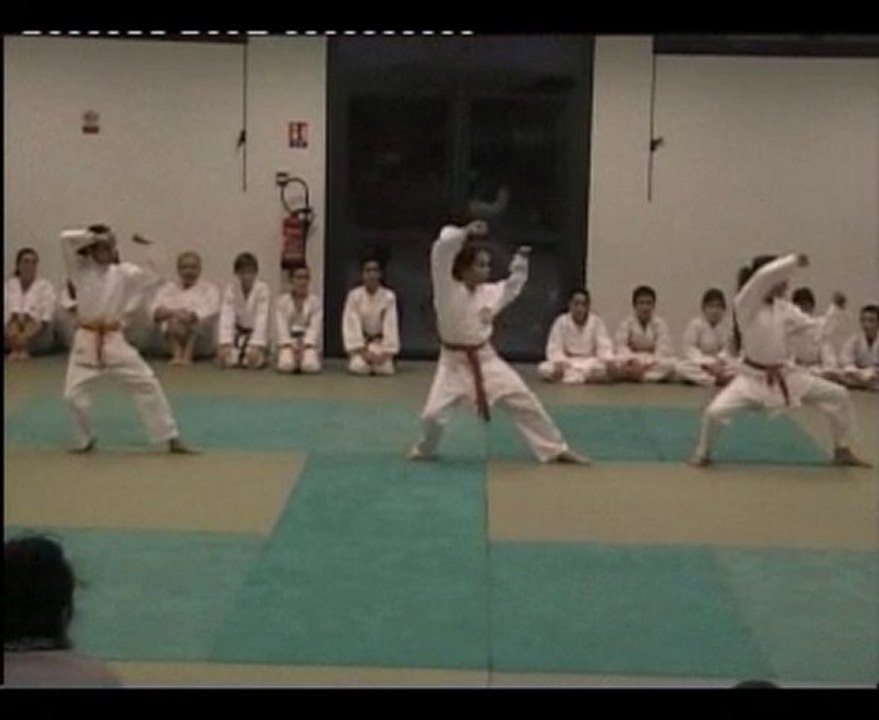 P.6 Démonstration COC KARATE CABESTANY 2010