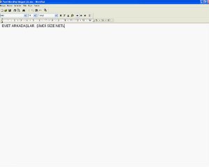 NETLOAD'DAN İNDİRME NASIL YAPILIR?