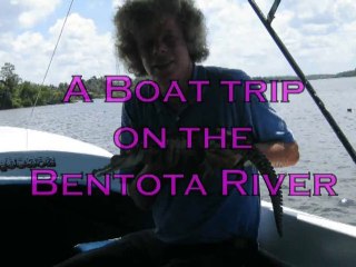 A boat trip on the Bentota River with waran and crocodile
