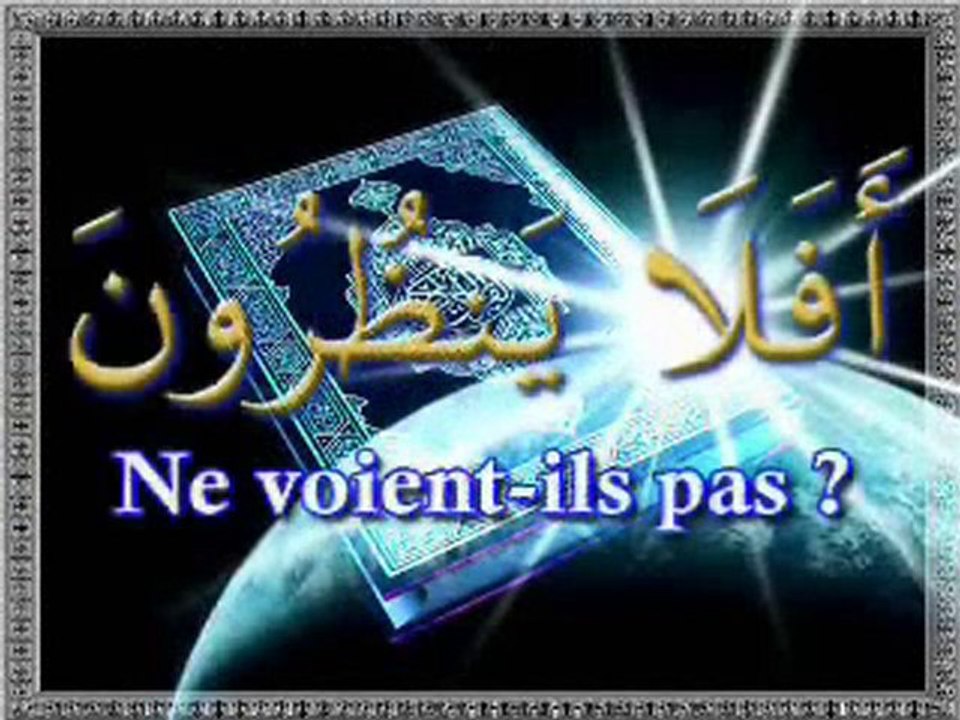 Ne voient-ils pas? Macha* Allah