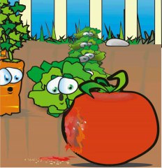 citron givré Z'aime pas les Tomates