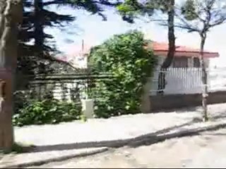 Büyükada Fayton gezisi - Büyükada Otel - Büyükada Otelleri