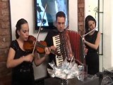 Grup Tria  - Müzik Organizasyon - Karşılama Düğün Davet Kokteyl Trio - Tanıtım Videosu