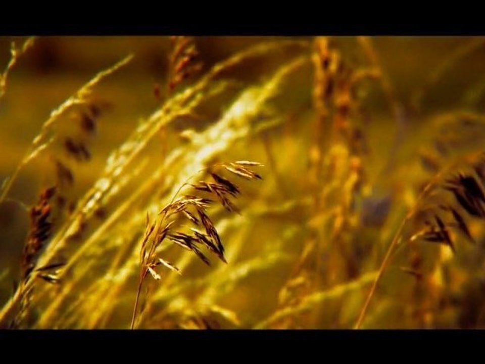 Golden moment