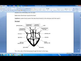 Biology B3 part 1 of 2