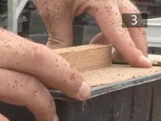 How To Plant Seeds In A Basic Seed Tray
