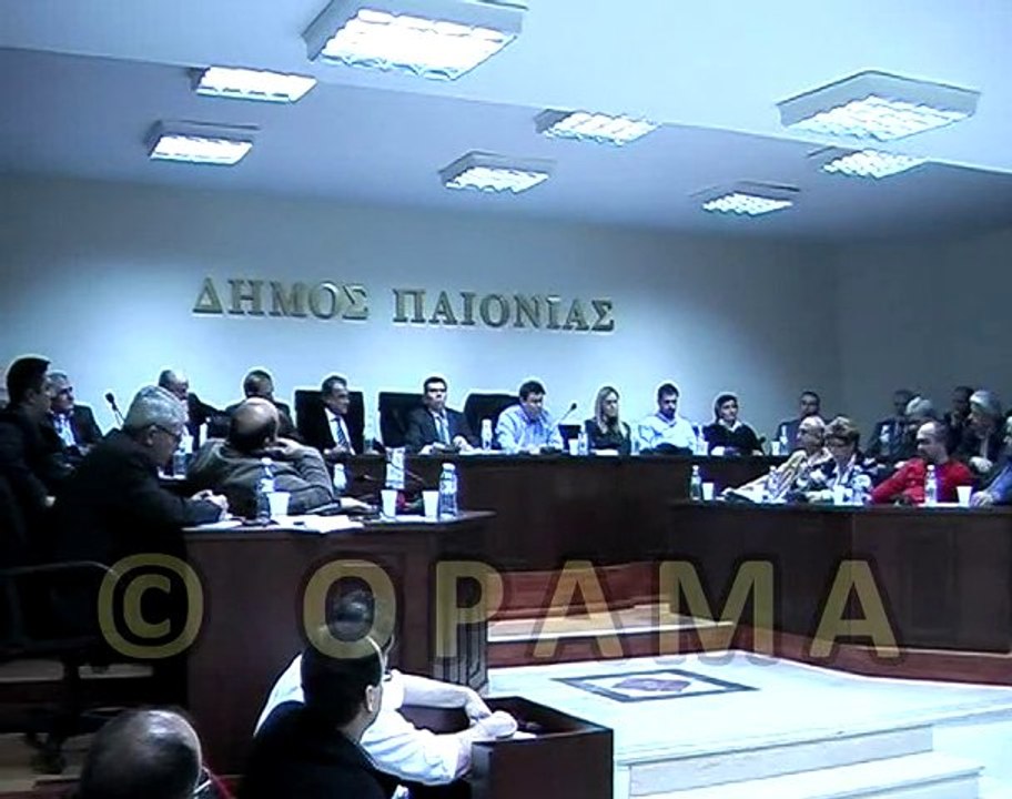 Δημοτικό Συμβούλιο Δήμου Παιονίας 02-01-2011