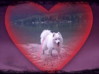 Nala on Gorenjska (Slo)