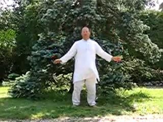 Eveil ton arbre de vie