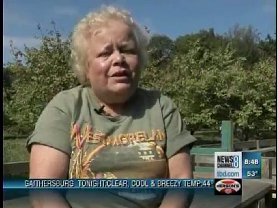 Westmoreland Berry Farm's goat walk