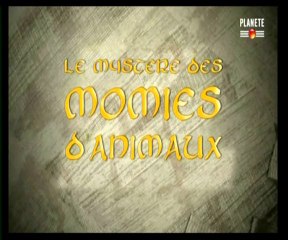 Le mystère des momies d'animaux (Ép. 2 sur 2) 1