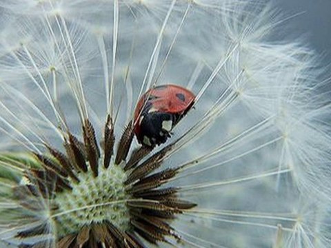 ANNA WYSZKONI, WIEM ZE JESTES TAM