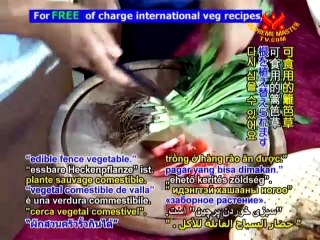 A Taste of Thailand: Fragrant Tom Klong Soup