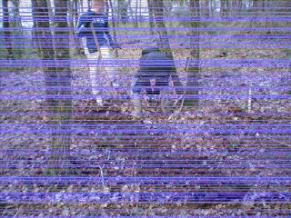 construction de bois de velo