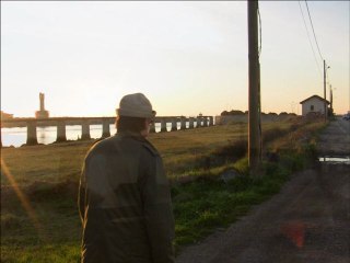 Génie moustachu découvre graffitis sur la lande de Tarnos