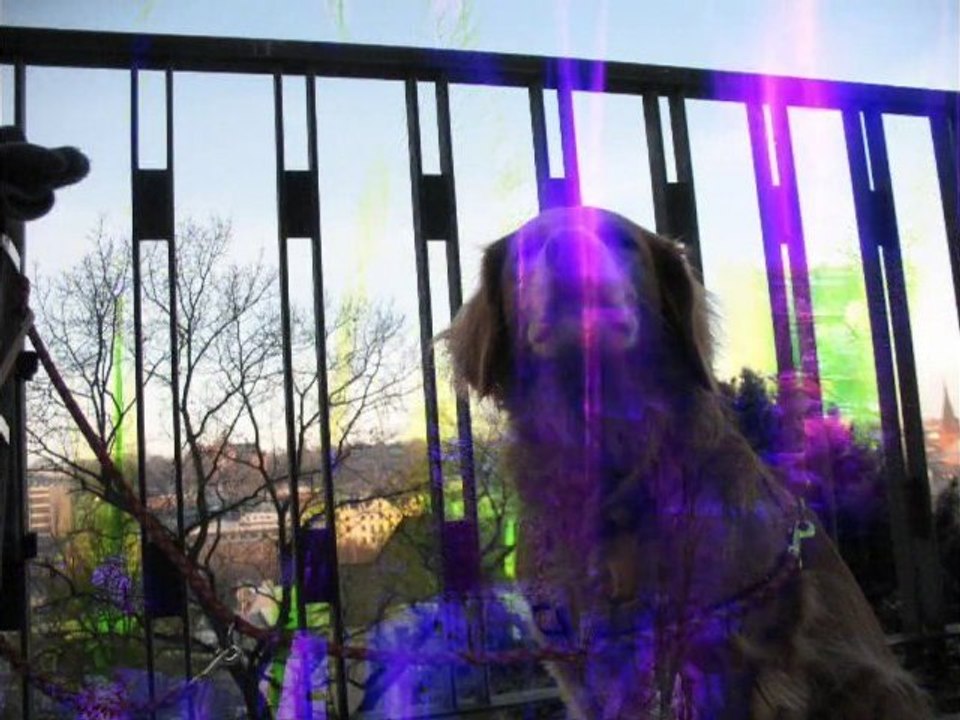 Timmy.cira.flensburg