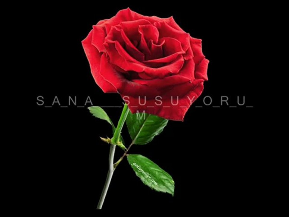 Film=SANA  SUSUYORUM=MEHMET SANCAK=ŞİİR VİDEO