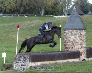 Tristan et Roseau - Pompadour 2010