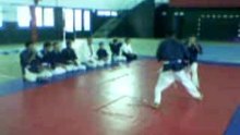 Démonstation de Yoseikan budo