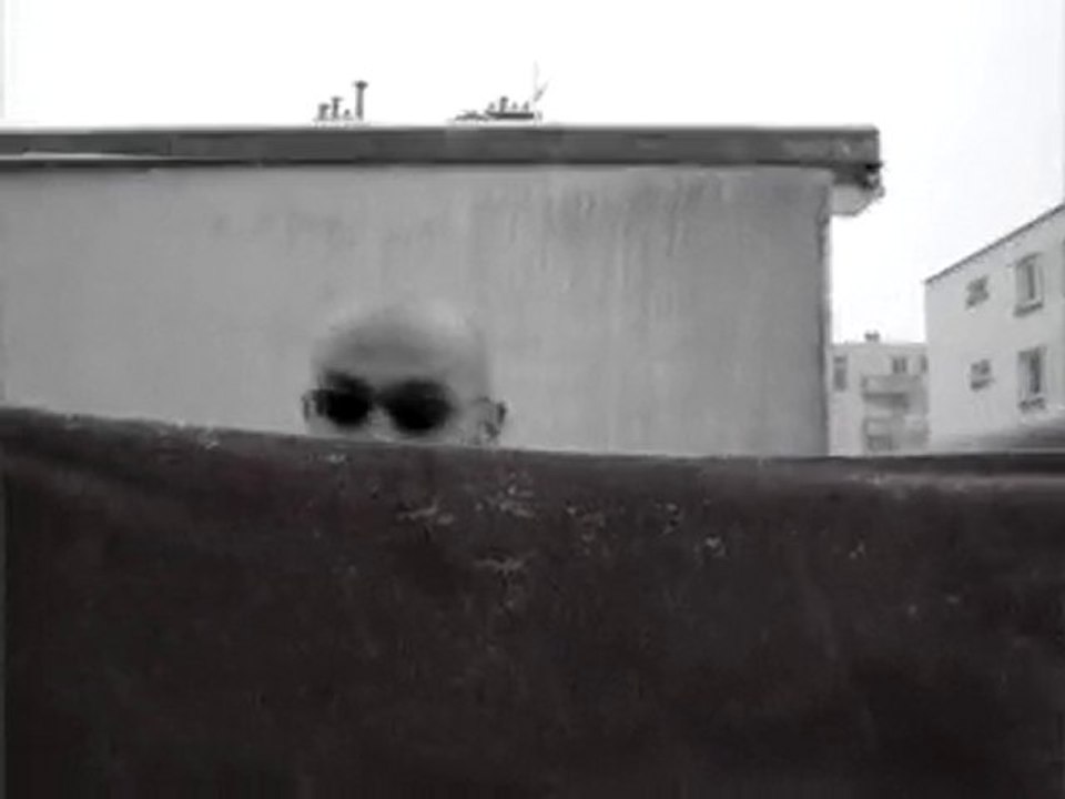 Le dernier ours polaire