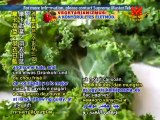 Vegetarian Elite Rich Roll, Plant-Strong Ultraman - P2/2