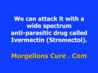 Morgellons Cure