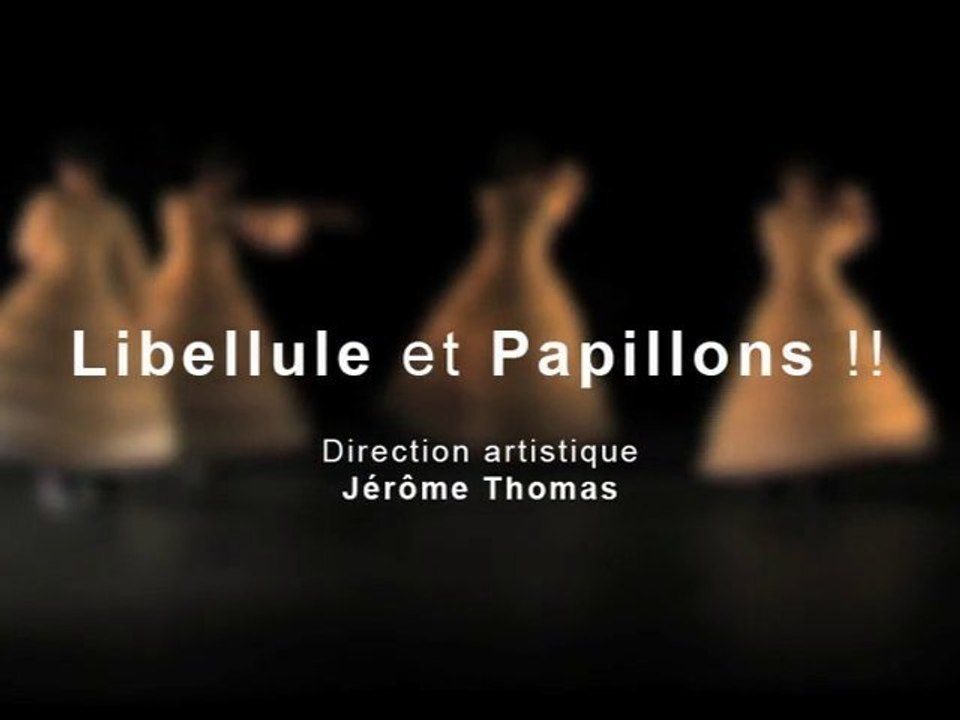 Libellule et Papillons !!