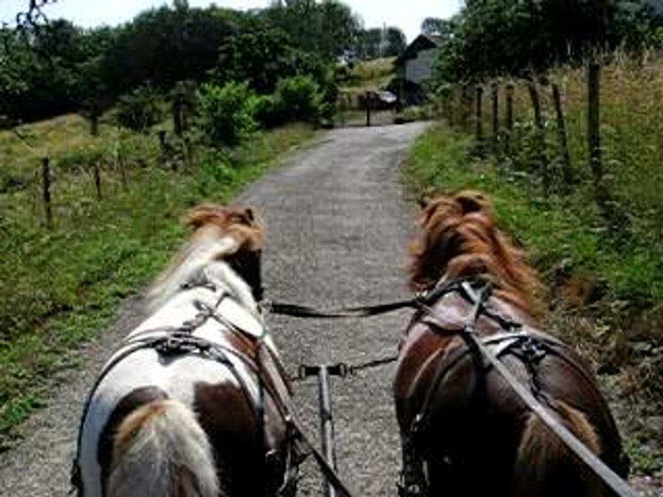 Tour de piste