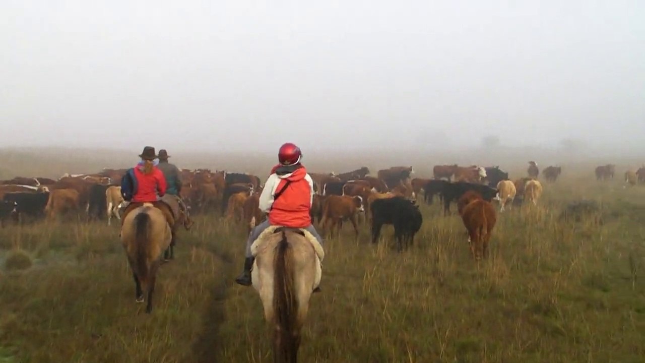 Estancia Panagea - Uruguay