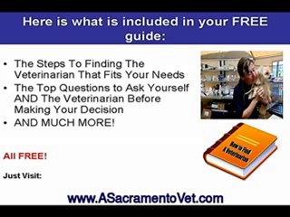 Reliable Sacramento Veterinarian Vet