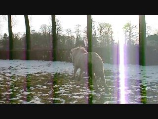 Entrée Gitan en 2011