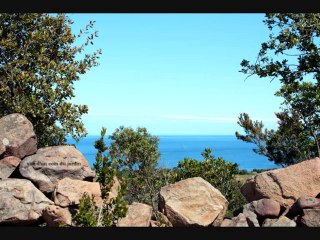 LOUER EN CORSE  VILLAS,  MAISONS AVEC PISCINE EN CORD DE MER