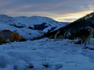 Traîneau, bivouac de noël avec Ptitcruz ici au Pays Basque