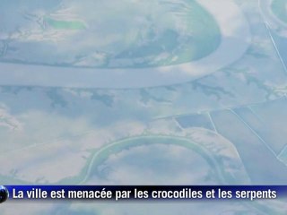 Inondations en Australie: serpents et crocodiles menacent