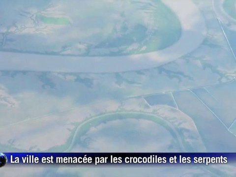 Inondations en Australie: serpents et crocodiles menacent