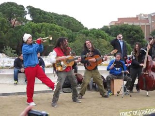 Microguagua au parc Güell