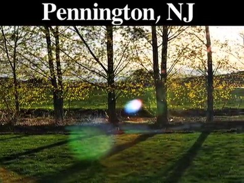 Tree Trimming-Pruning Service | Pennington, NJ
