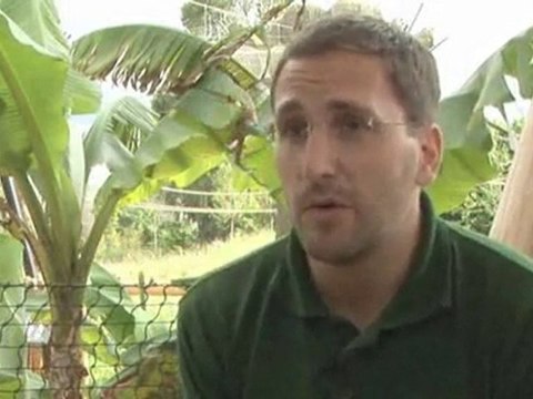 Gorilla Facts : Are gorillas clean animals?