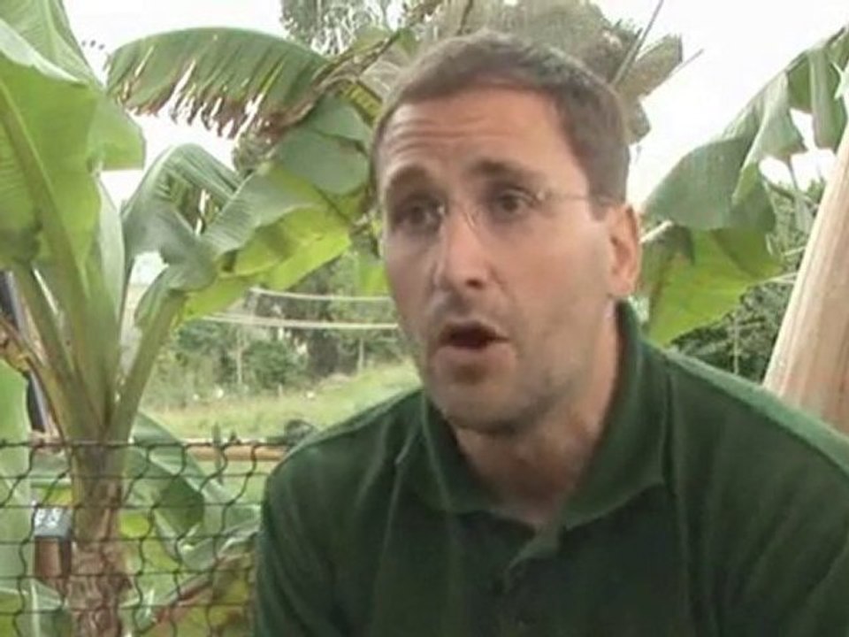 Being A Zoo Keeper What Should I Study If I Want To Become A