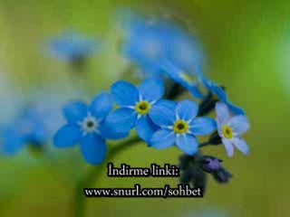 En güzel dini videolar - Yasin suresinin faziletleri