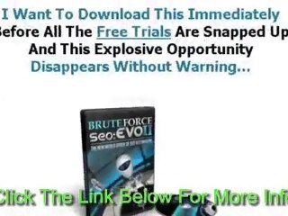Brute Force SEO