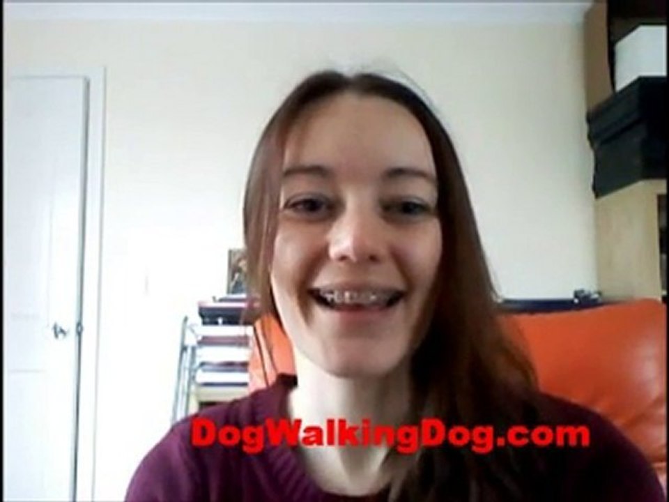 Dog Walking Dog