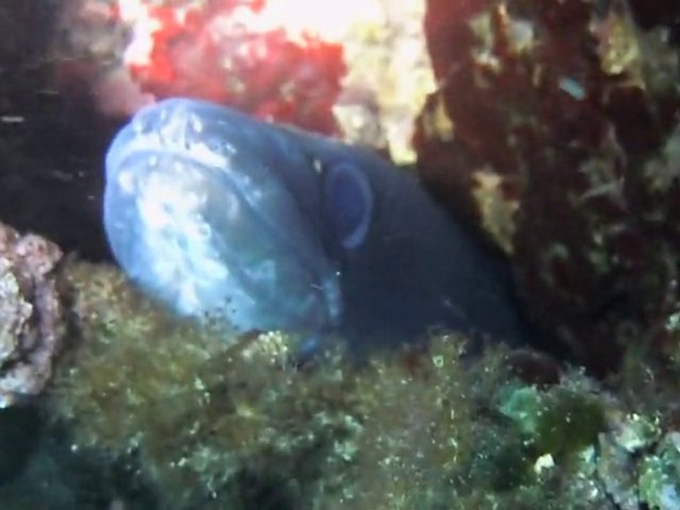 DSCN0742