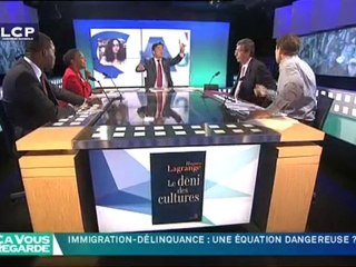 CVR : Immigration-délinquance : une équation dangereuse ?
