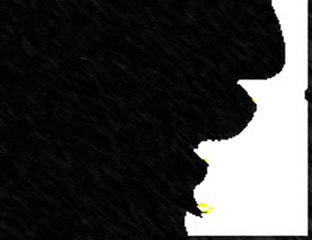 moskatın hayatı belgesel 1