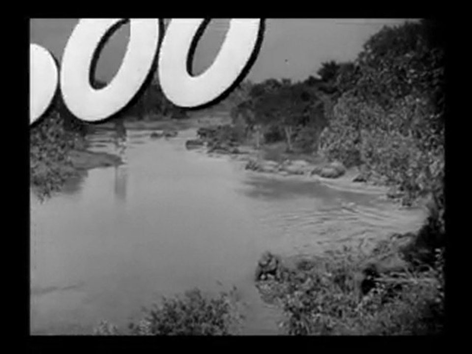 Le trésor de Tarzan