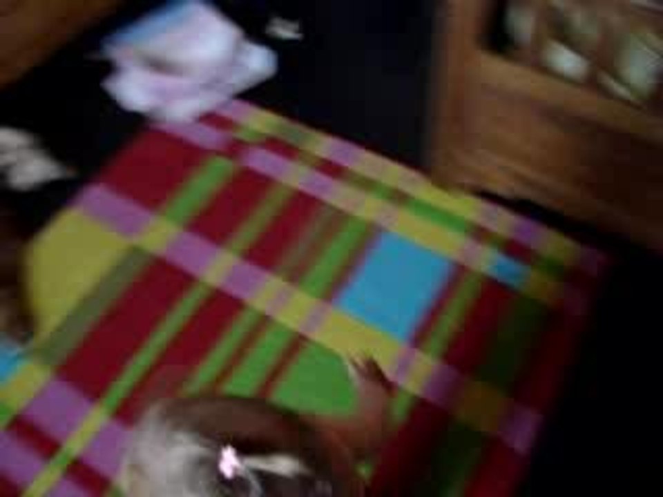 MOV00014