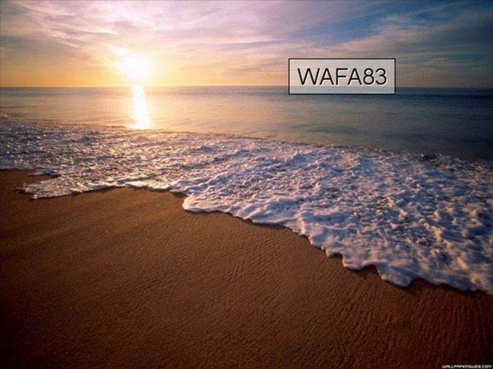 WAFA83