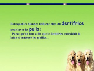 Quelques blagues juste pour le plaisir de rire-